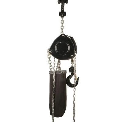 Outdoor Stage Lifting Hoist